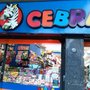 Photo of Cebra
