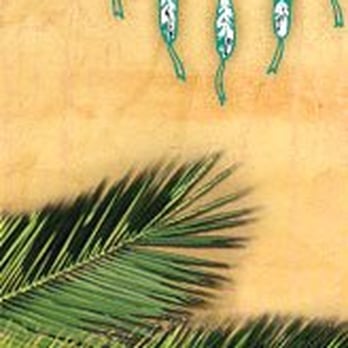 Muckleshoot - MUCKLESHOOT logo - Casinos Near Me - Auburn, Washington