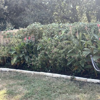 Morningstar Landscaping - Limestone flower borders added Oct2024 - Landscaping Near Me Morningstar Landscaping - Limestone flower borders added Oct2024 - Landscaping Near Me