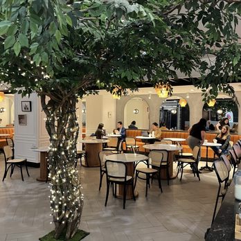 Pigen Cafe - Cafes Near Me - Toronto, Ontario