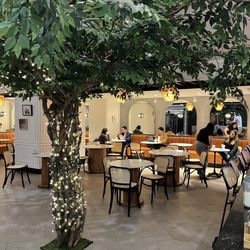 Pigen Cafe