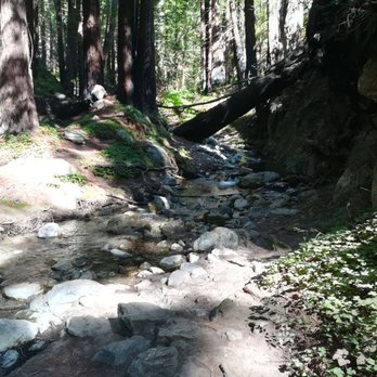 Limekiln State Park - Trail to the falls. - Campgrounds Near Me - Big Sur, California
