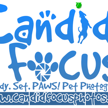 Candid Focus - Pet Photography Near Me