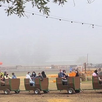 Mickelson Pumpkin Patch - Grain tractor train - Pumpkin Patches Near Me - Petaluma, California