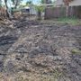 Photo of Master Gardener Landscaping