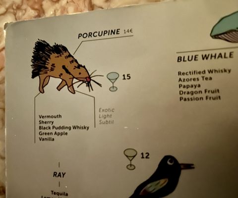 Toca da Raposa by null