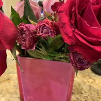 Gainesville Floral Exchange - Florists Near Me - Gainesville, Florida