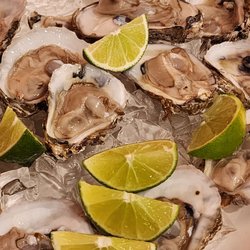 Coctel El Primo - The perfect appetizer!