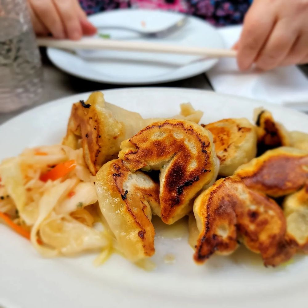 Cafe Himalaya - Panfried momos- Good. - Himalayan/Nepalese Near Me - New York, New York Cafe Himalaya - Panfried momos- Good. - Himalayan/Nepalese Near Me - New York, New York