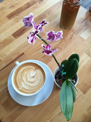 Astoria Coffee by null