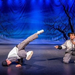 Veksler Academy Of Music & Dance - Sunnyvale