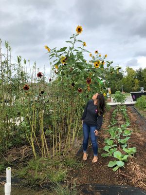 8th Street Market by null