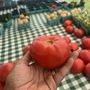Photo of Dorey Park Farmer's Market