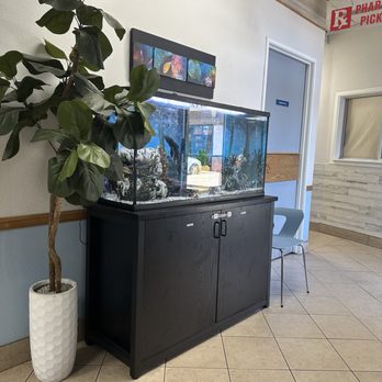 Pacific Pet Hospital - Veterinarians Near Me - Chula Vista, California Pacific Pet Hospital - Veterinarians Near Me - Chula Vista, California