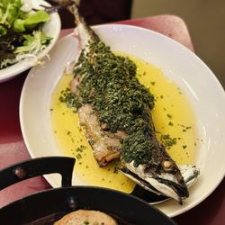 Brat X Climpson's Arch - Mackerel