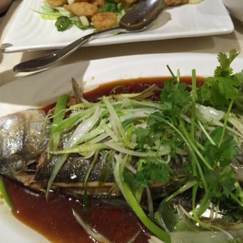Gourmet Inspirations - Steamed fish-absolutely terrific! - Dim Sum Near Me - Wheaton, Maryland