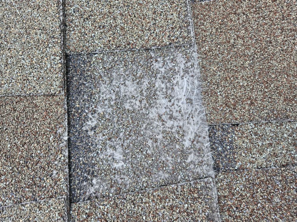 Slide of 1017 Construction