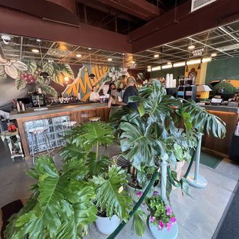 Millie's Coffee Co - Coffee Roasteries Near Me - Astoria, New York Millie's Coffee Co - Coffee Roasteries Near Me - Astoria, New York