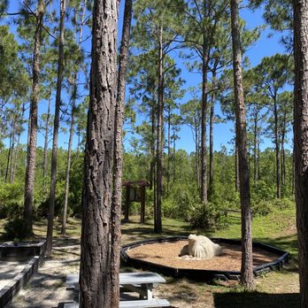 Tibet-Butler Preserve - Parks Near Me - Orlando, Florida Tibet-Butler Preserve - Parks Near Me - Orlando, Florida