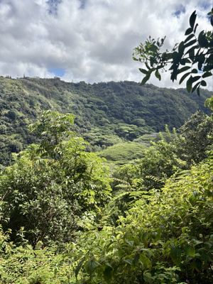 Waimano Falls by null