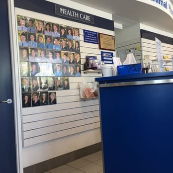 AdelaideVet Trinity Gardens - Pet Training Near Me - Trinity Gardens, SA