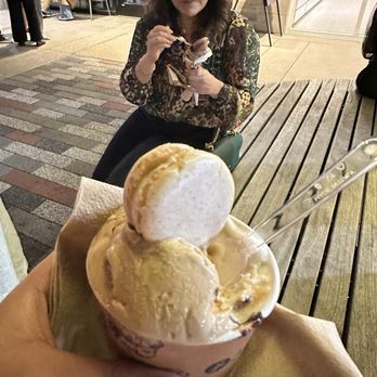Amorino Gelato - Gelato Near Me - Houston, Texas Amorino Gelato - Gelato Near Me - Houston, Texas