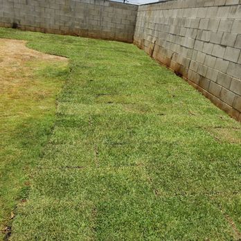 Pro Lawn & Landscape - Landscaping Near Me Pro Lawn & Landscape - Landscaping Near Me