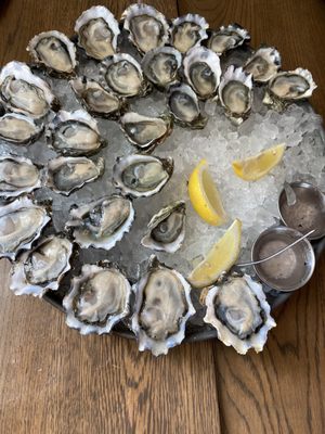 Taylor Shellfish Oyster Bar by null