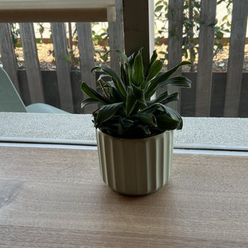 Case Study - Coffee & Tea Near Me - Phoenix, Arizona