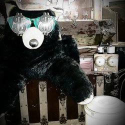 Barely Spent Consignment - Bear Mascot with his cool shades and some Antiques