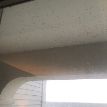 Hampton Inn & Suites Outer Banks/ Corolla - The extra patio that you pay for is full of bugs so much so that the front desk told me not to open the screen door. - Hotels Near Me - Corolla, North Carolina