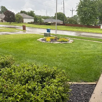 TruGreen Lawn Care - Help your grass get nutrients for growth with TruGreen's lawn fertilization in Springfield, MO, and nearby Nixa. - Tree Services Near Me - Springfield, Missouri TruGreen Lawn Care - Help your grass get nutrients for growth with TruGreen's lawn fertilization in Springfield, MO, and nearby Nixa. - Tree Services Near Me - Springfield, Missouri