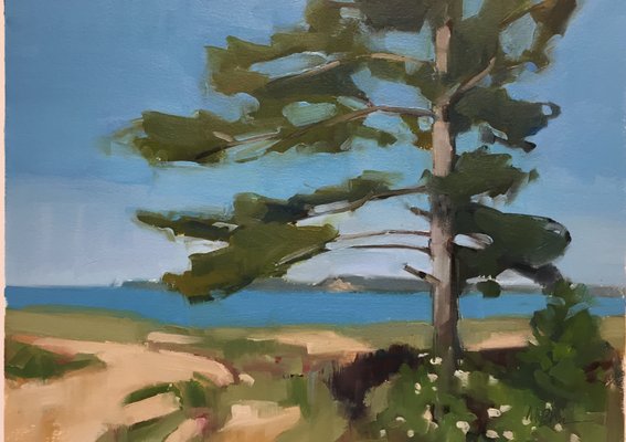 Tvedten Fine Art by null