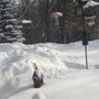 Photo of Wild Birds Unlimited