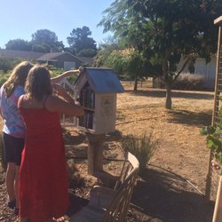 Little Free Library