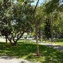 Photo of Plaza Reina Sofia