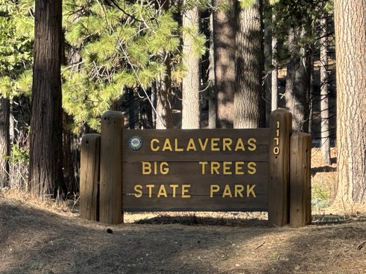 Calaveras Big Trees State Park by null