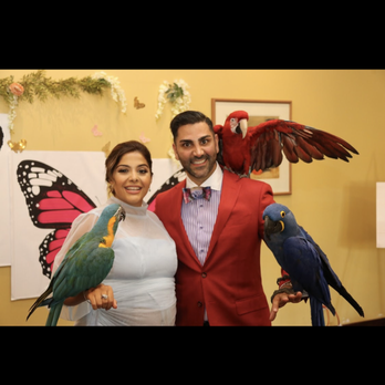 Happy Birds - Party & Event Planning Near Me