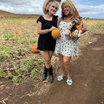 Aloun Farms - Farms Near Me - Kapolei, Hawaii