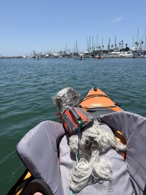 Channel Islands Kayak Center by null