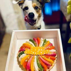 nearby pet supply stores