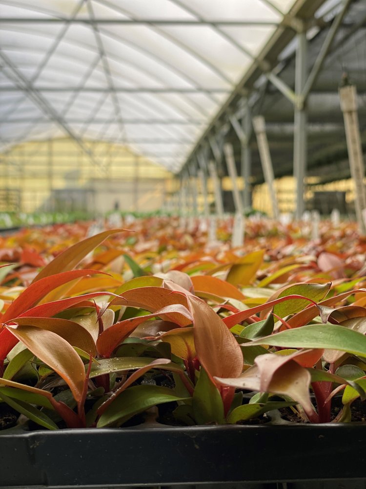 AG2 TC Updated August 2024 4341 Round Lake Rd, Apopka, Florida