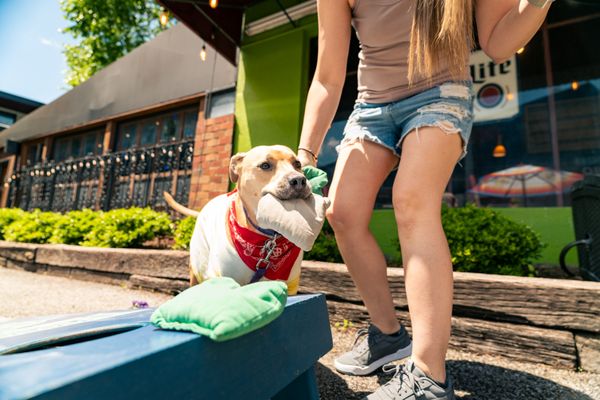 Broadway BrewPub & Grub by null