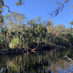 Morris Bridge Road Preserve
