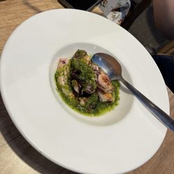Squid