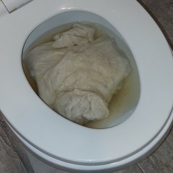 DoubleTree by Hilton Hotel Laurel - Shit in toilet - Hotels Near Me - Laurel, Maryland DoubleTree by Hilton Hotel Laurel - Shit in toilet - Hotels Near Me - Laurel, Maryland