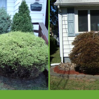 Holly Tree Landscaping - Holly Tree Landscaping - Landscaping Near Me Holly Tree Landscaping - Holly Tree Landscaping - Landscaping Near Me