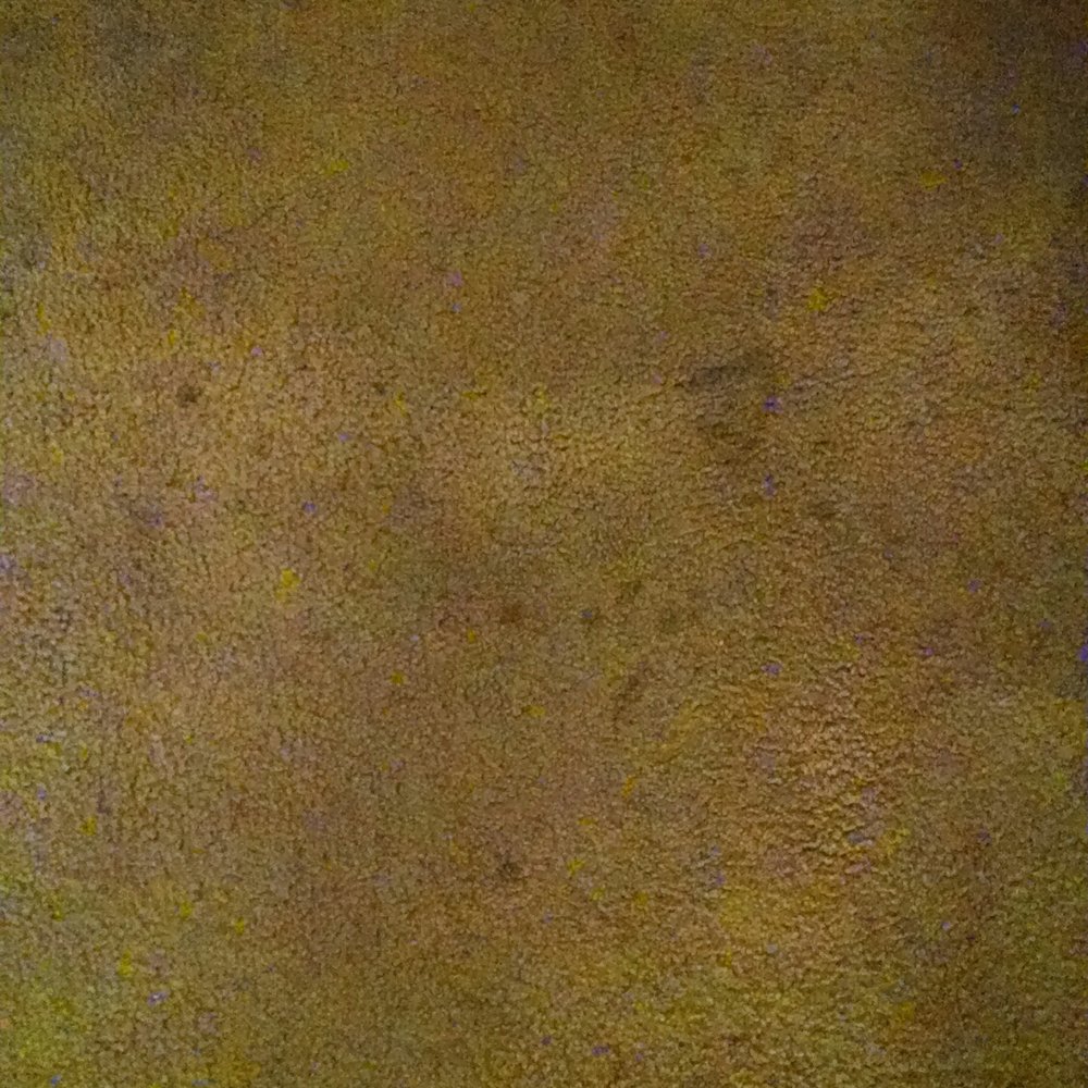 Thunderbird Resort Club - Stained carpet. - Resorts Near Me - Sparks, Nevada Thunderbird Resort Club - Stained carpet. - Resorts Near Me - Sparks, Nevada