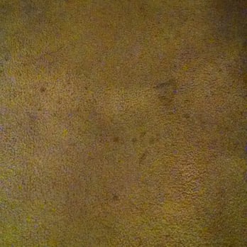 Thunderbird Resort Club - Stained carpet. - Resorts Near Me - Sparks, Nevada Thunderbird Resort Club - Stained carpet. - Resorts Near Me - Sparks, Nevada