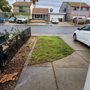 Photo of Torres Landscaping